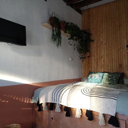 هارلم B&B "Manana" المظهر الخارجي الصورة