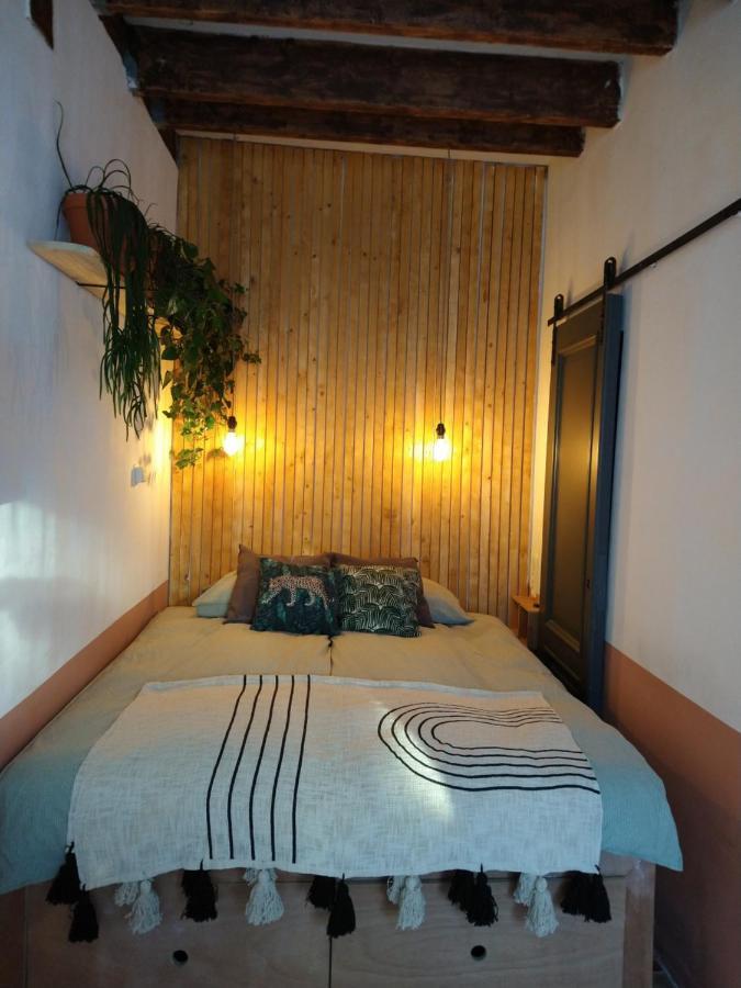 هارلم B&B "Manana" المظهر الخارجي الصورة