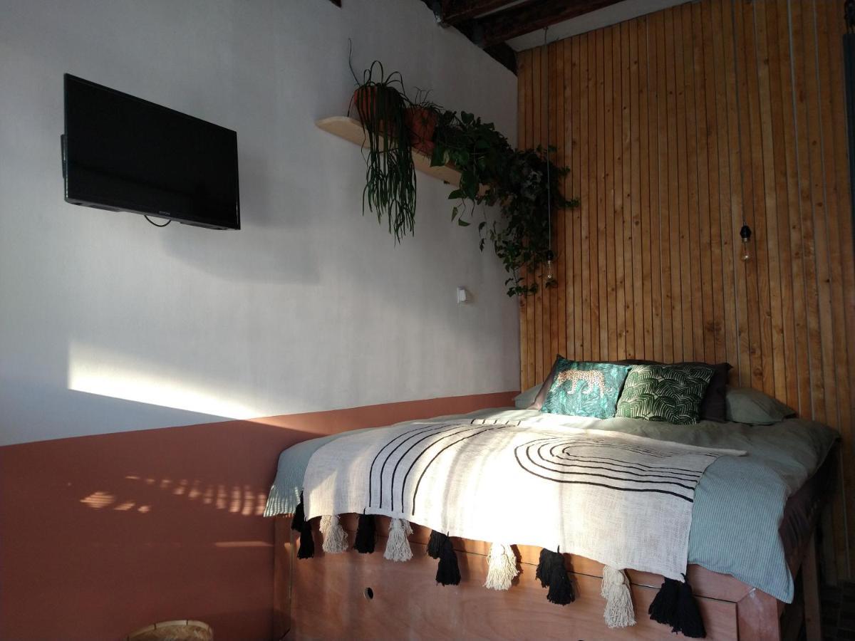 هارلم B&B "Manana" المظهر الخارجي الصورة